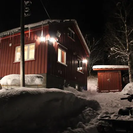 Wild Life Eldorado Lyngen
