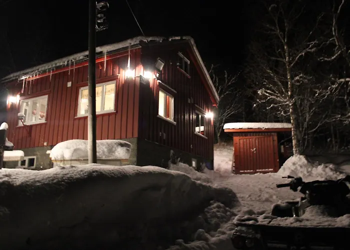 Fox Lyngen