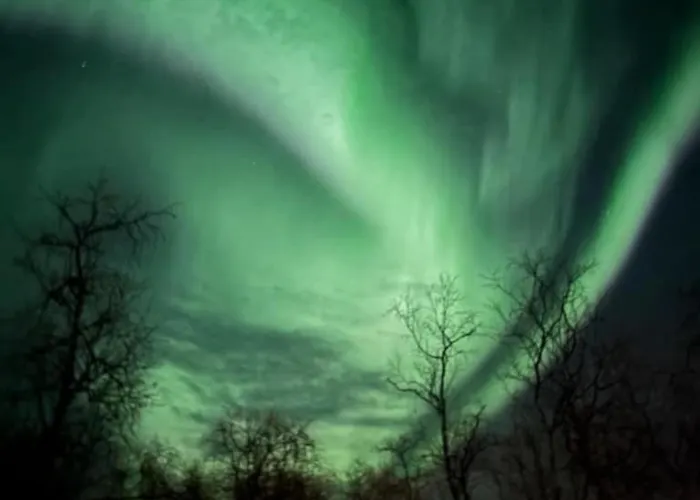 Fox Σπίτι διακοπών Lyngen